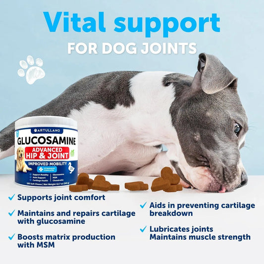 K9Glow Hip & Joint Glucosamine Chews – Hemp Oil, MSM & Chondroitin (120 Count)